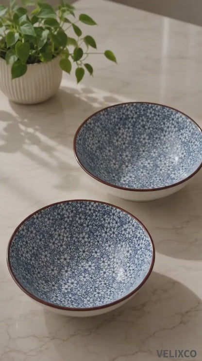 VELIXCO FrostBloom Ribbed Ceramic Bowl Set of 2